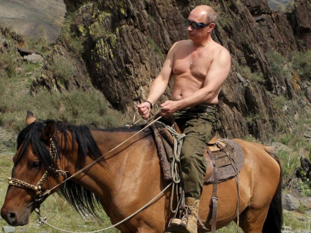 vladimir-horse